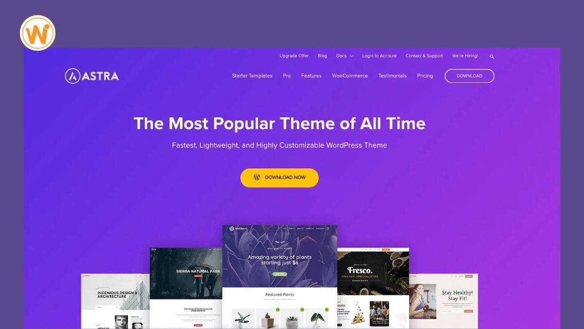 Best WordPress Themes for Doctors